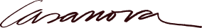 Logo Grupo Casanova