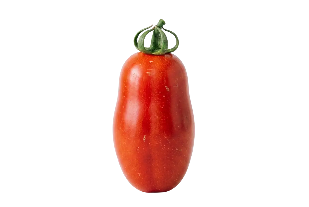 Tomate maduro fresco tipo San Marzano com rama sobre fundo preto, ingrediente selecionado do Grupo Casa Nova.